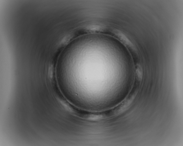 X0000113760458200909301113