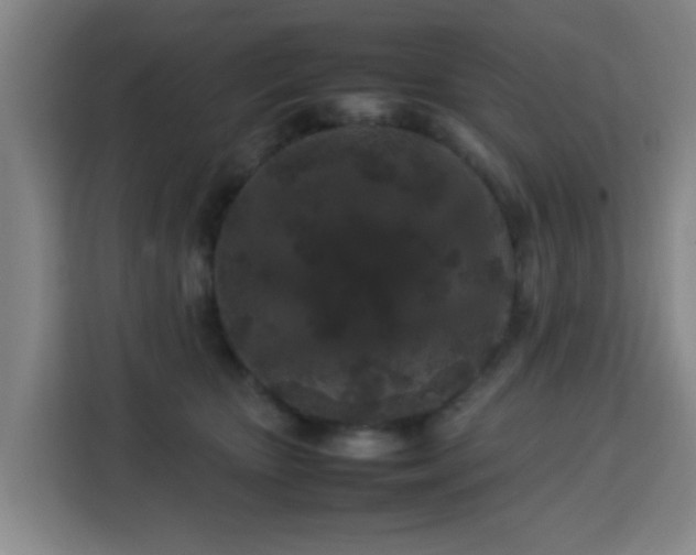 X0000113760467200909301113