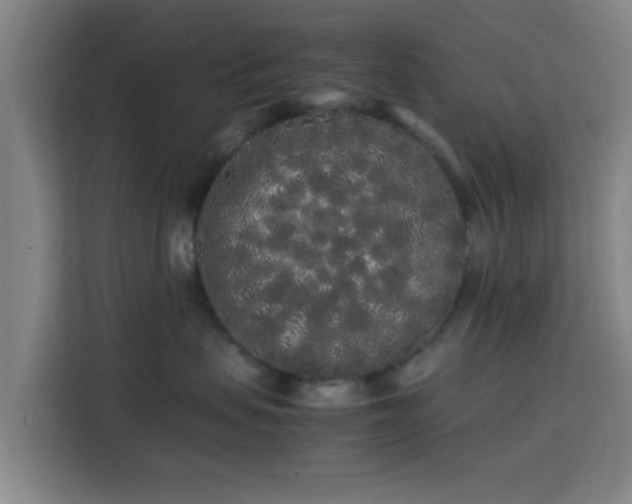 X0000113760479200909301113