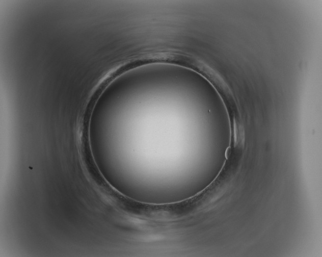 X0000113760483200909301112