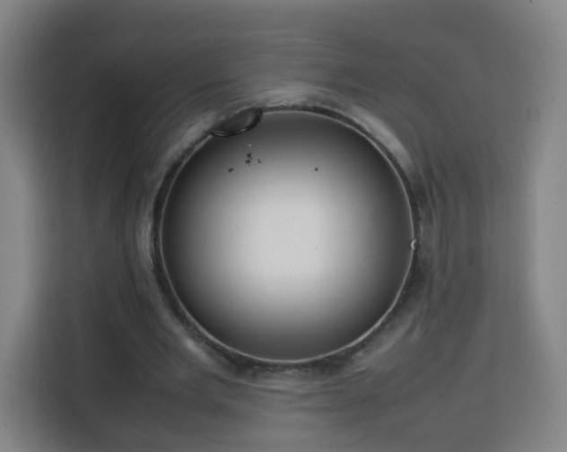X0000113760485200909301112
