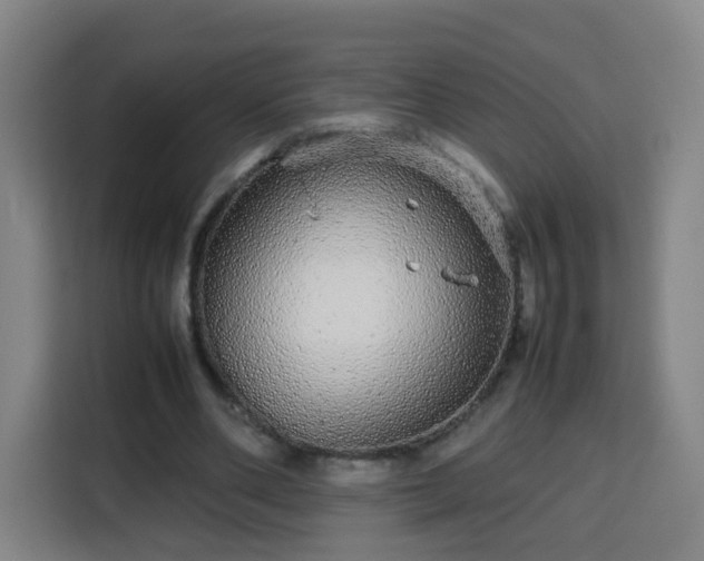 X0000113760486200909301112