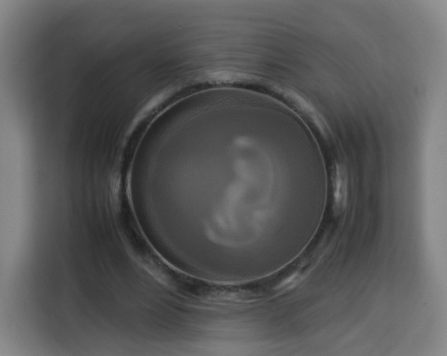 X0000113760488200909301112