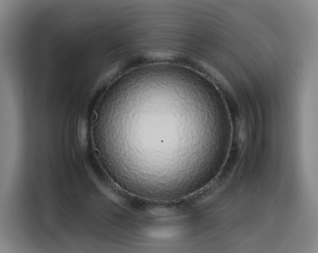 X0000113760494200909301112