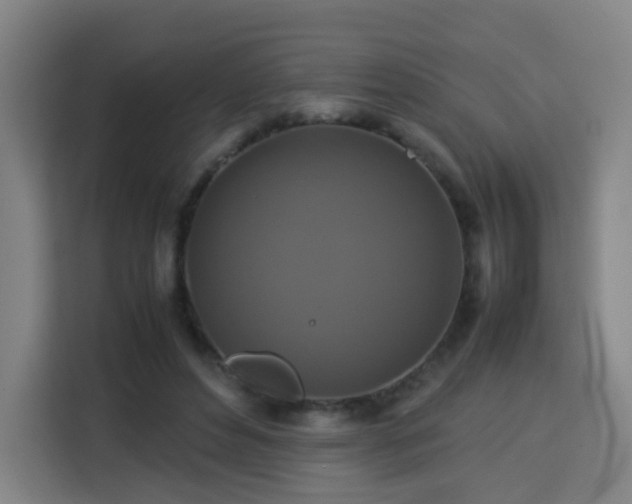 X0000113760496200909301112