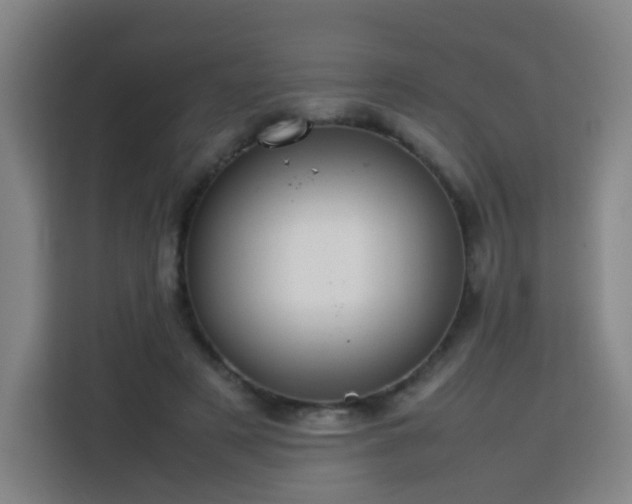 X0000113760497200909301112