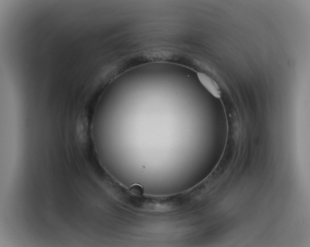 X0000113760498200909301112