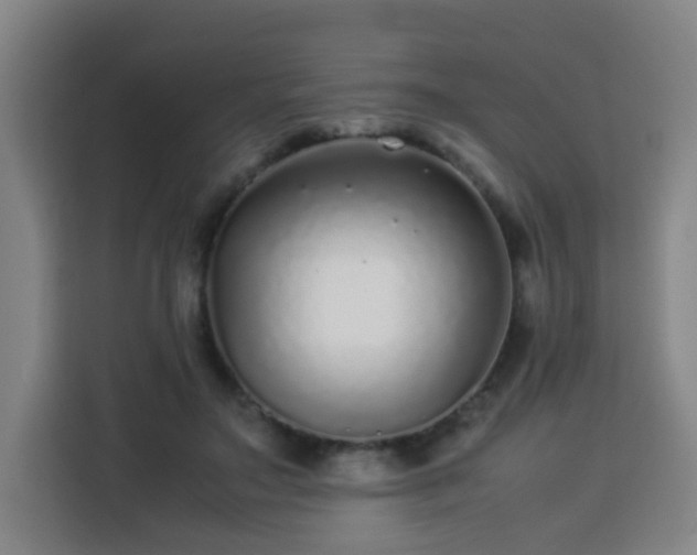 X0000113760499200909301112
