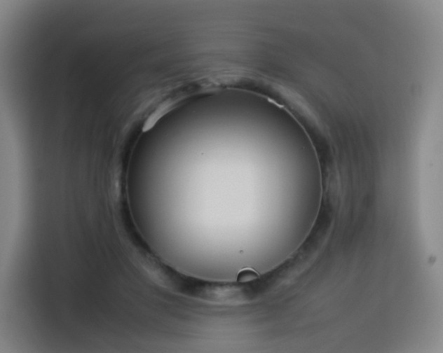 X0000113760501200909301112