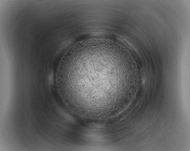 X0000113760502200909301112