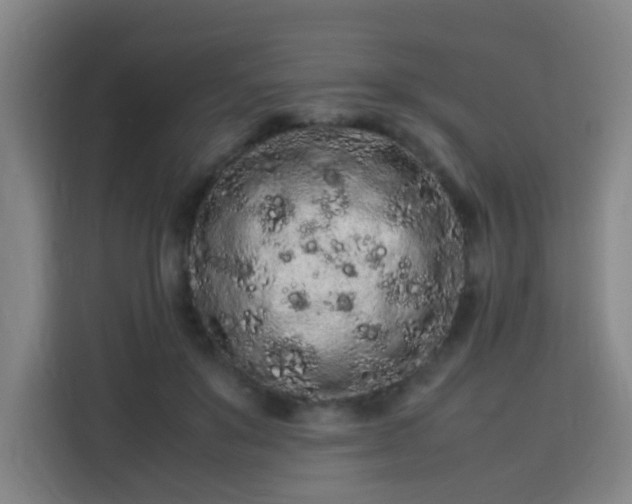 X0000113760503200909301112