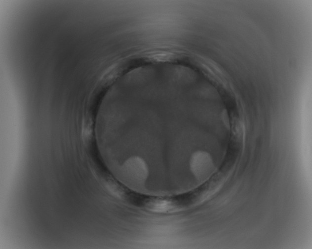 X0000113760507200909301112