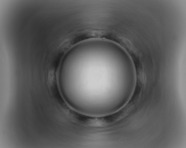X0000113760511200909301112