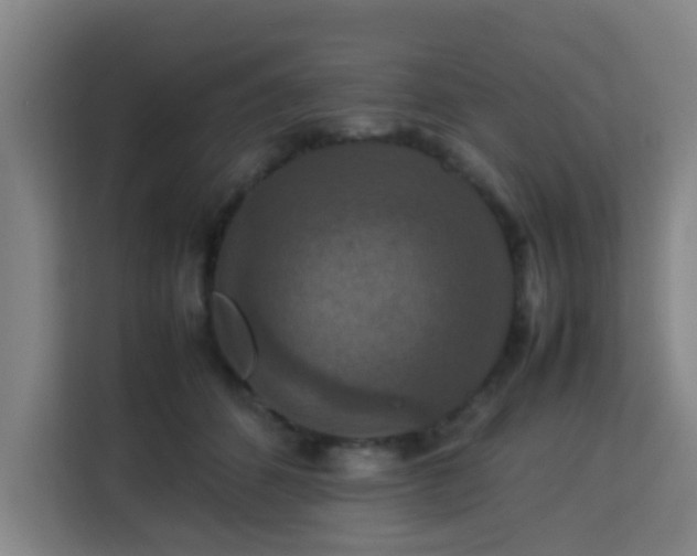 X0000113760512200909301112