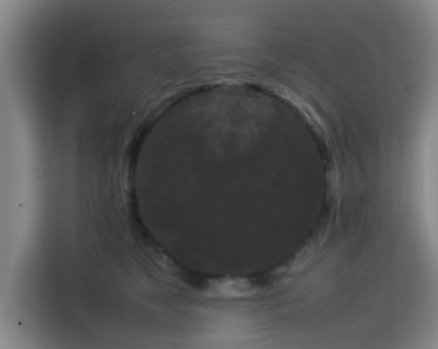 X0000113760517200909301112