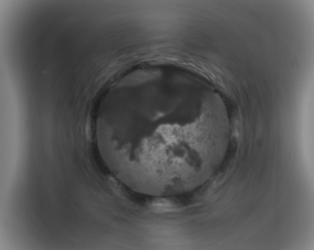 X0000113760519200909301112