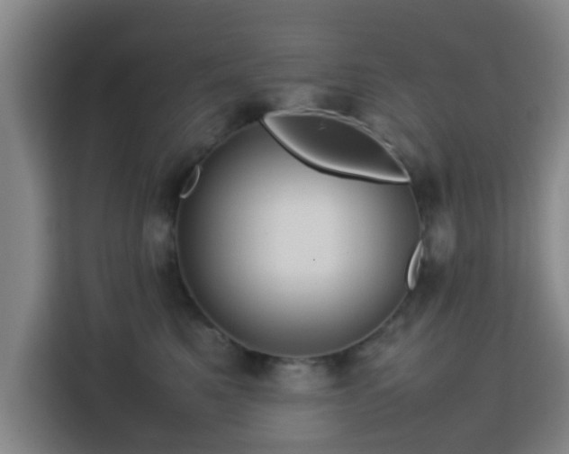 X0000113760521200909301112