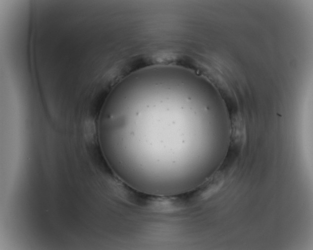 X0000113760523200909301112