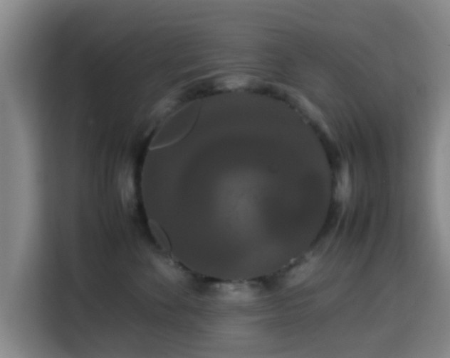 X0000113760524200909301112