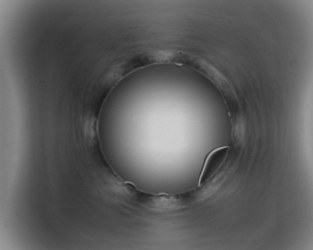 X0000113760525200909301112