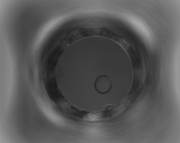 X0000113760526200909301112