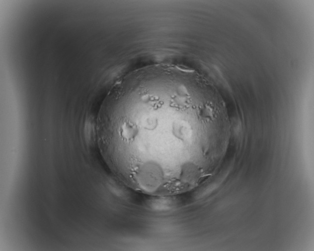 X0000113760527200909301112