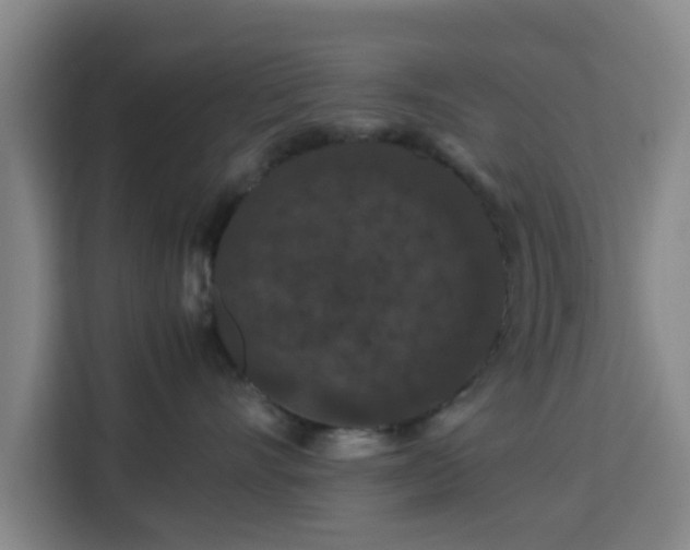 X0000113760528200909301112