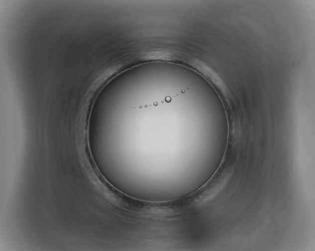 X0000113760529200909301111