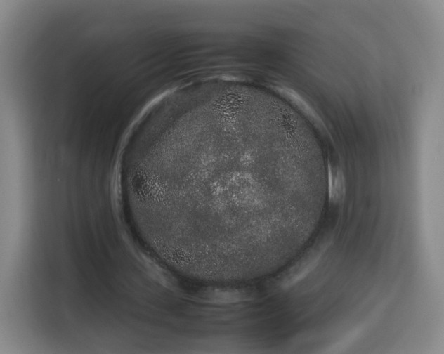 X0000113760531200909301111