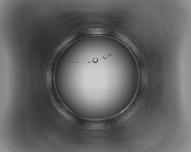 X0000113760533200909301111