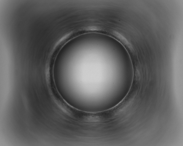 X0000113760535200909301111