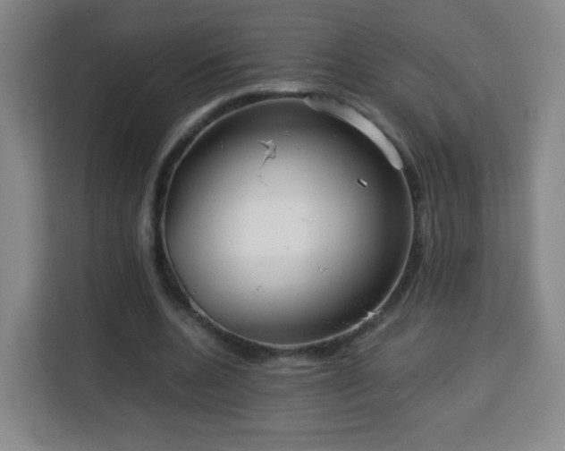 X0000113760536200909301111