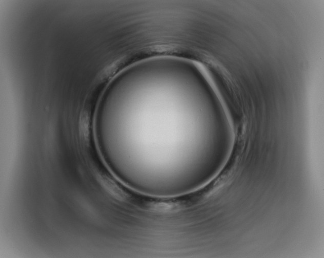 X0000113760542200909301111