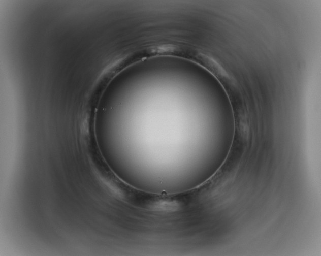 X0000113760543200909301111