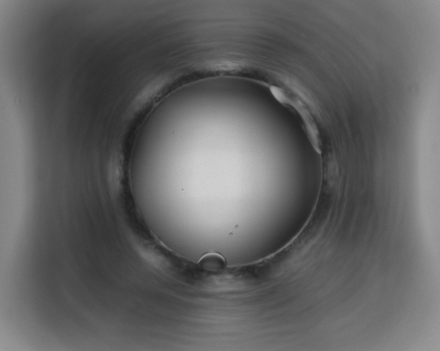 X0000113760544200909301111