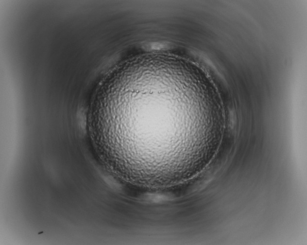 X0000113760545200909301111