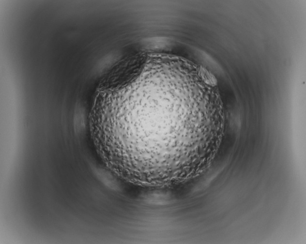 X0000113760546200909301111