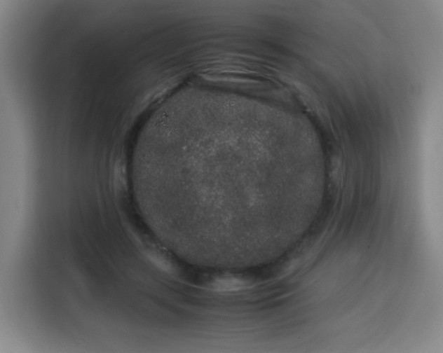 X0000113760547200909301111