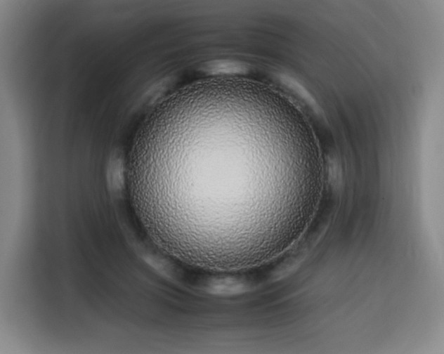 X0000113760549200909301111