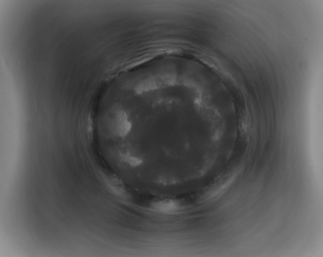 X0000113760551200909301111
