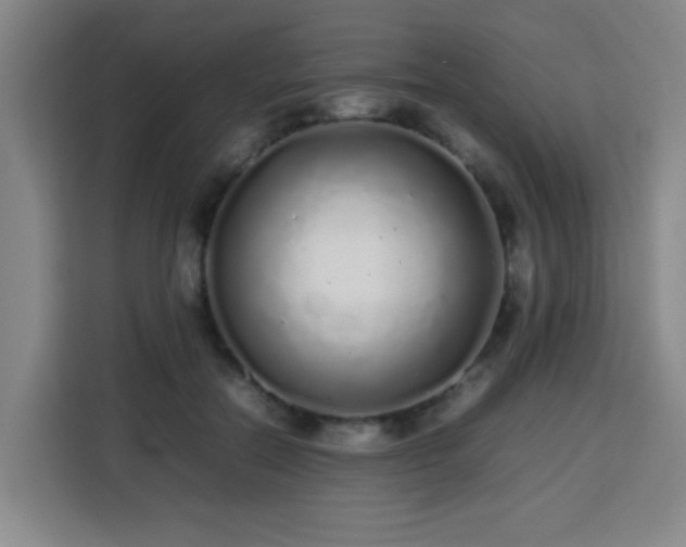 X0000113760554200909301111