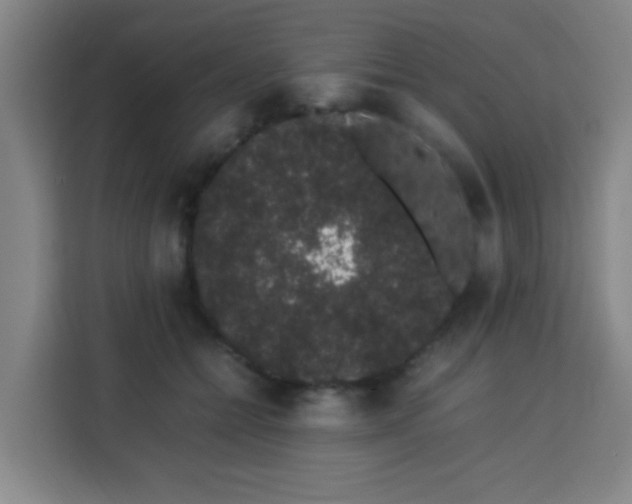X0000113760558200909301111