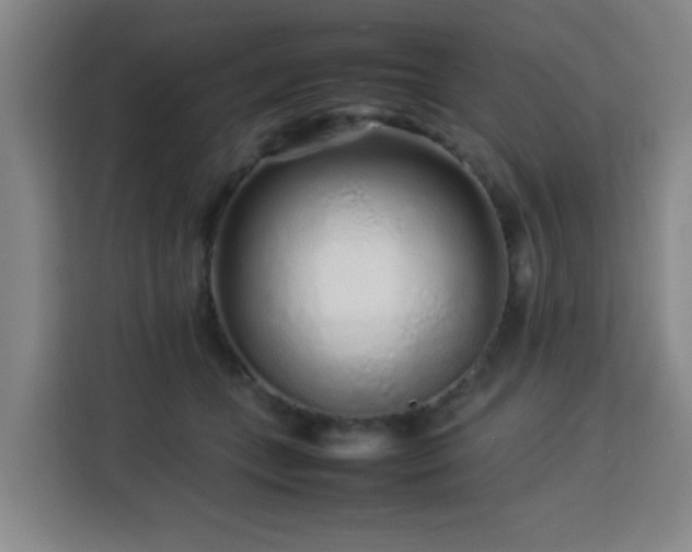 X0000113760559200909301111