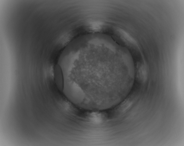 X0000113760562200909301111