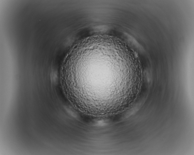 X0000113760564200909301112