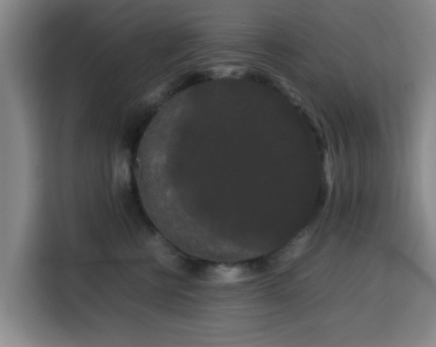 X0000113760570200909301112