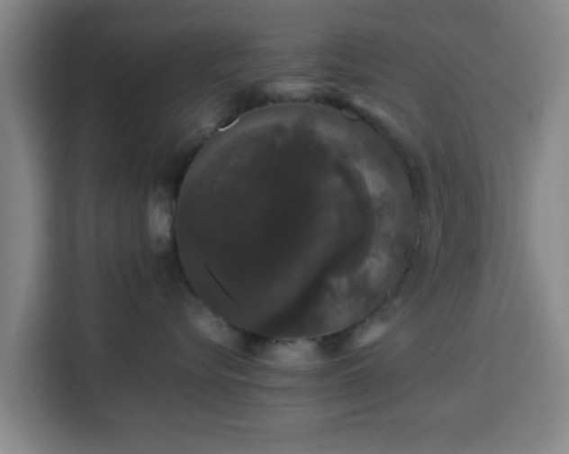 X0000113760576200909301112
