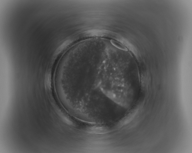 X0000113760581200909301111