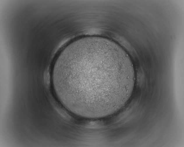 X0000113760584200909301111