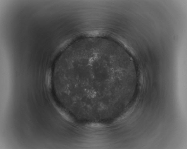 X0000113760590200909301111